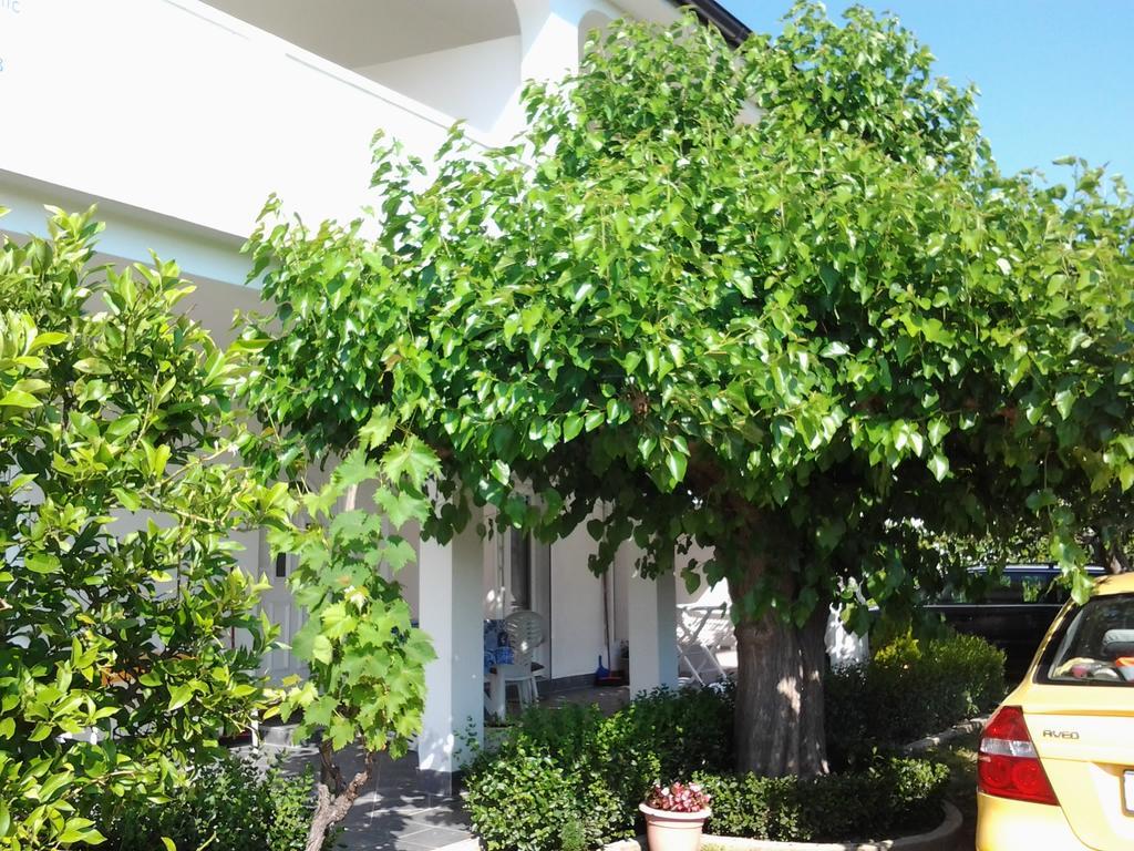 Holiday S&M Lopar Εξωτερικό φωτογραφία